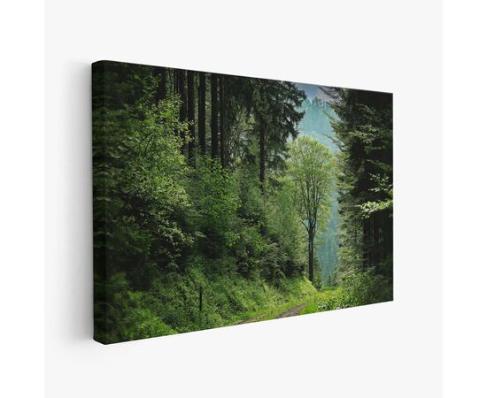 Pejzaž šuma - PEJ-009 - ArtZona Pejzaž šuma - PEJ-009 - ArtZona