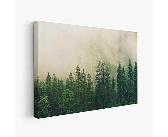Pejzaž šuma u izmaglici - PEJ-019 - ArtZona Pejzaž šuma u izmaglici - PEJ-019 - ArtZona